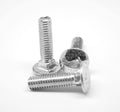 1/4x22-20 x 2x22 (FT) Coarse Thread Carriage Bolt Stainless Steel 316 O56782
