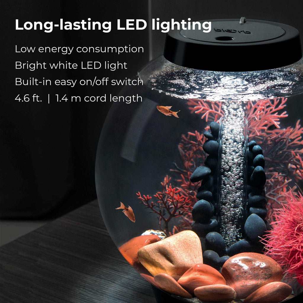 15 Aquarium Set with LED Light R388