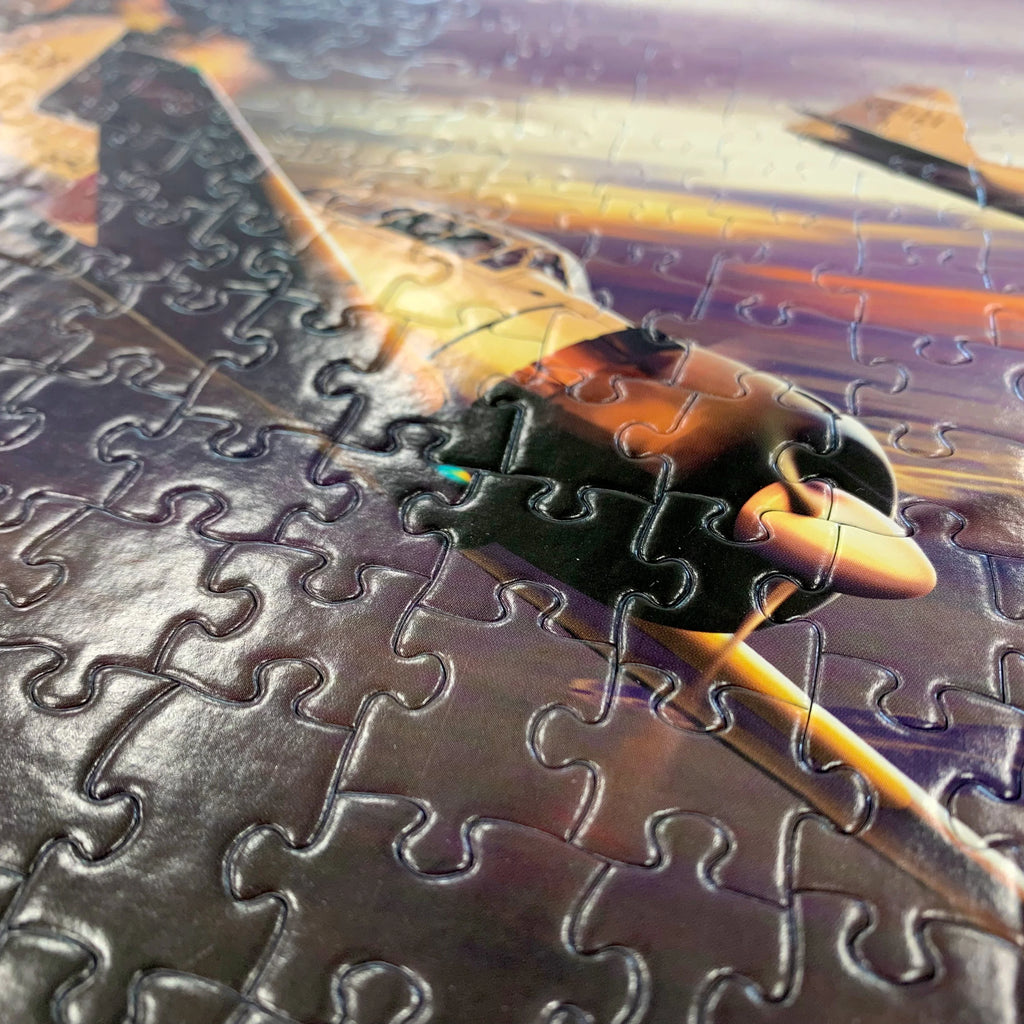 1000-Piece Puzzle D24124