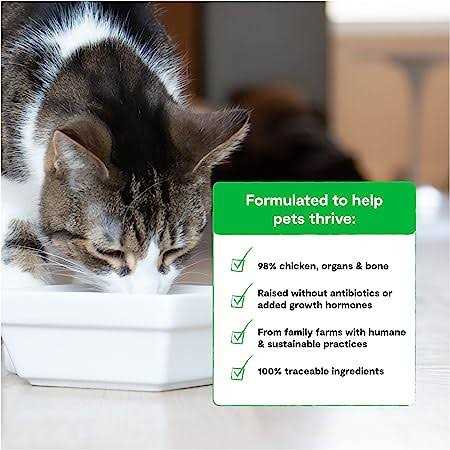Chicken Freeze Dried Raw Cat Food T368