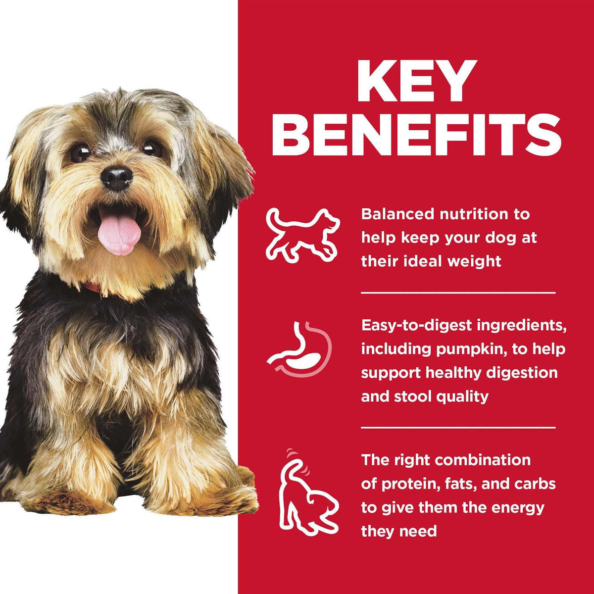 Adult Small Meal Rice Dry Dog Food O5017
