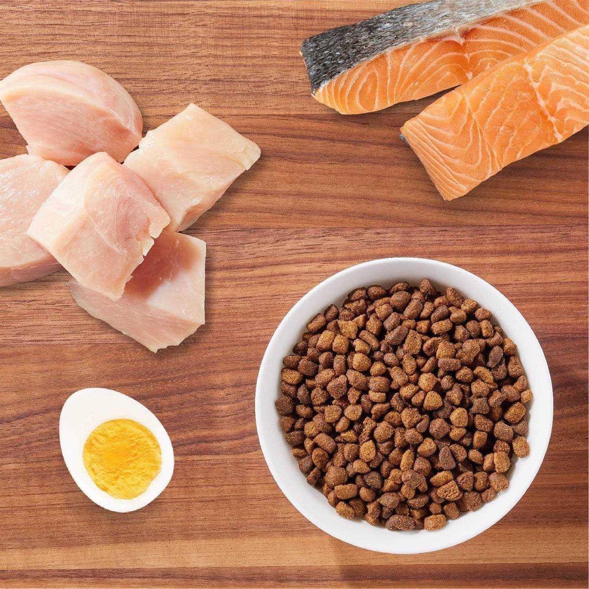 Salmon Adult Dry Cat Food E602
