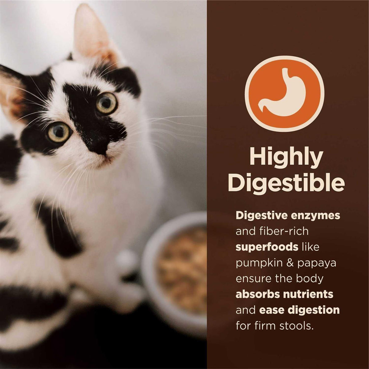 Chicken & Rice Dry Cat Food T955