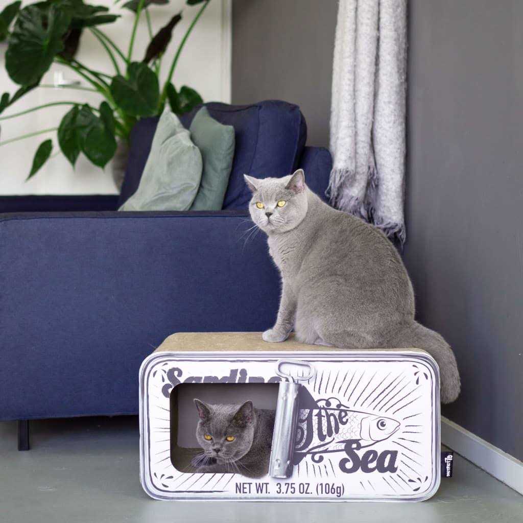 Cardboard Cat Scratcher Y8290