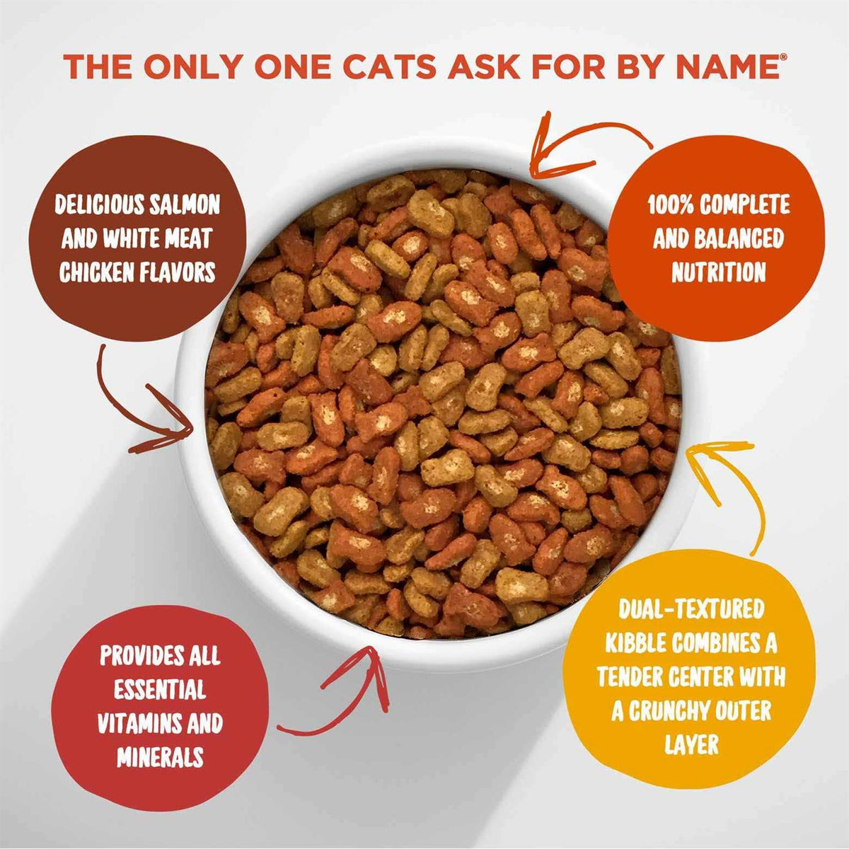Dry Cat Food F907