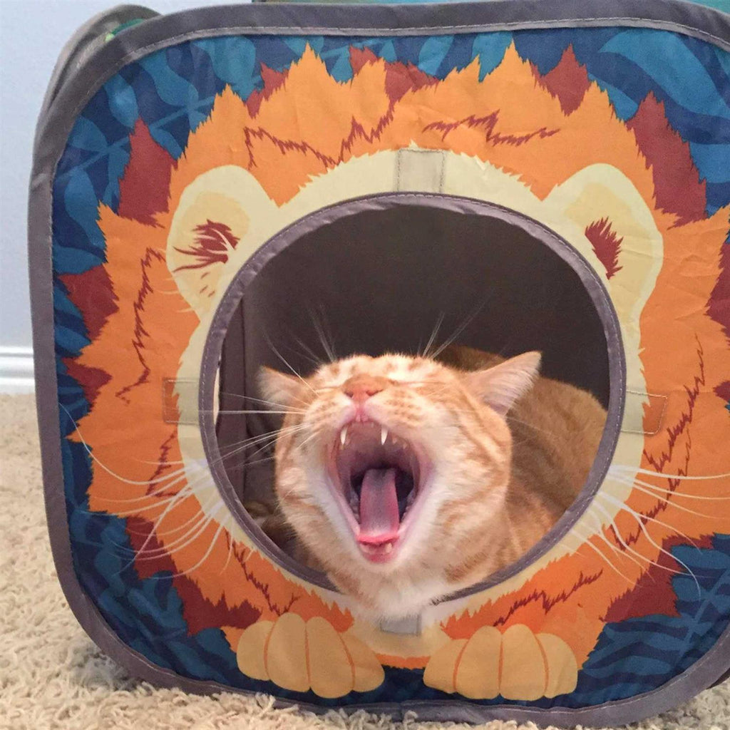 Collapsible Cat Cube C883123