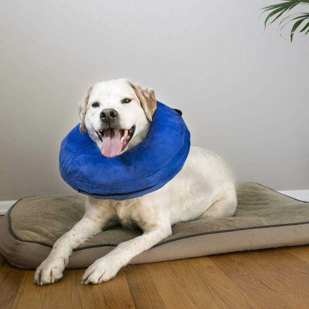 Cloud Collar G2112