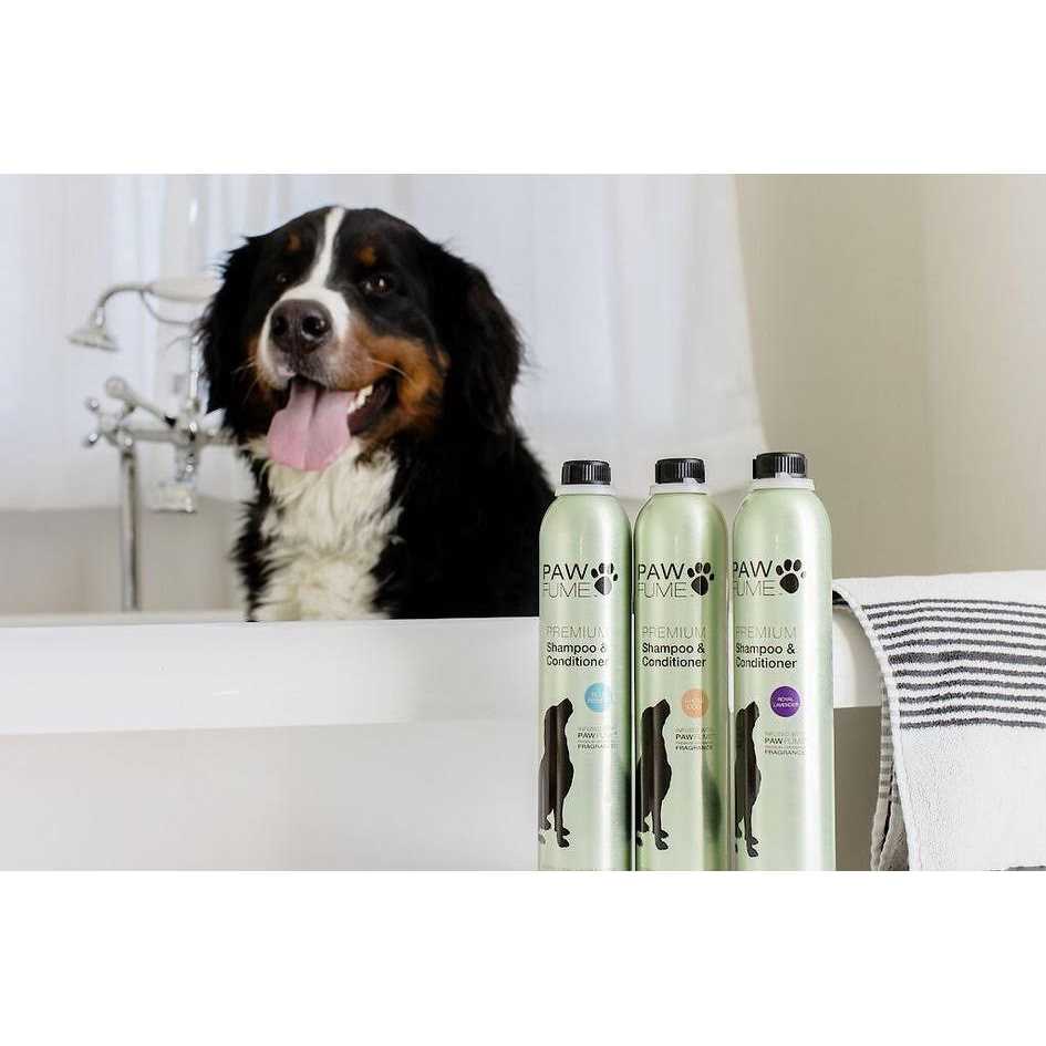 Hypoallergenic Dog Shampoo and Conditioner L1308