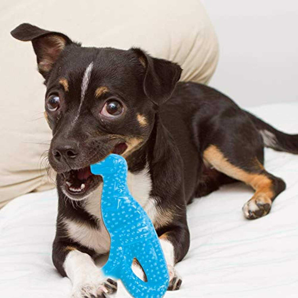 Dental Puppy Chew Toy K6269
