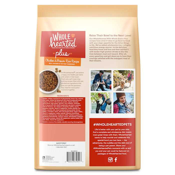 Chicken & Brown Rice Recipe Dry Dog Food R762