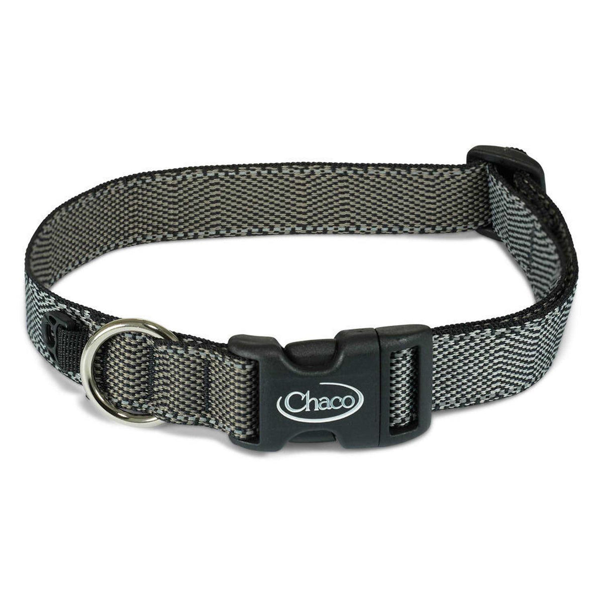 Dog Collar P538761