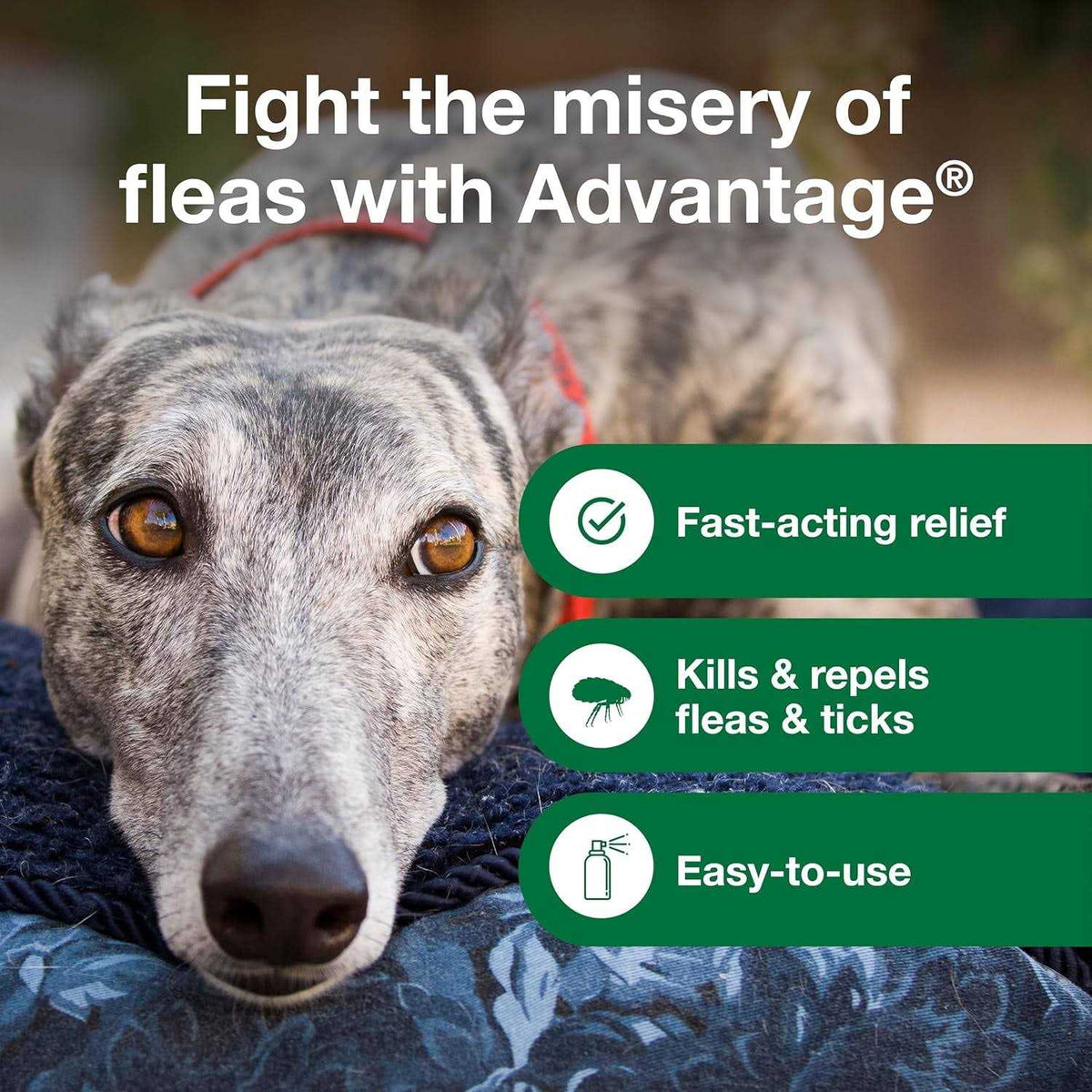 Flea & Tick Treatment Spray for Dogs S30611
