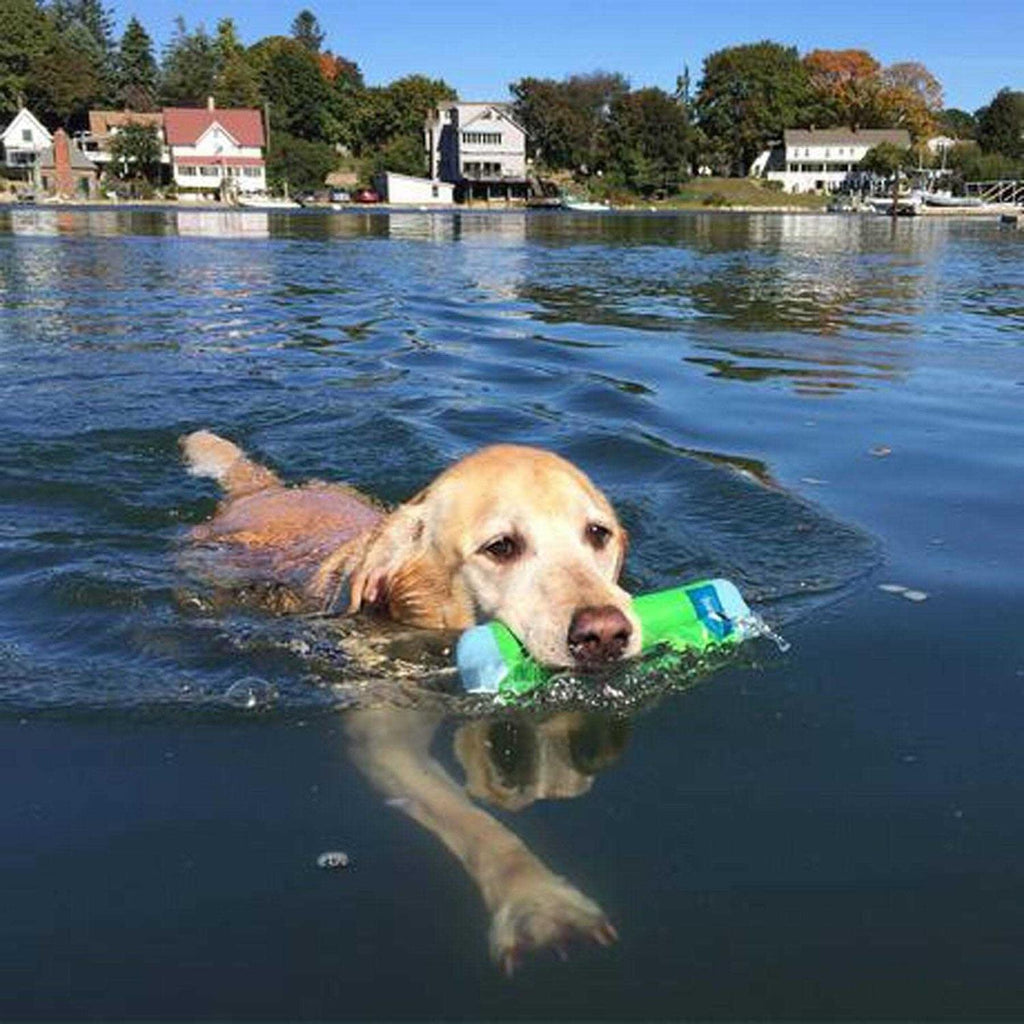 Amphibious Bumper Toy N986