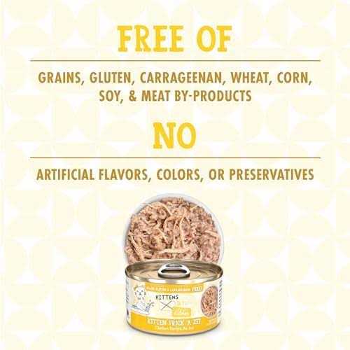Wet Cat Food C9341