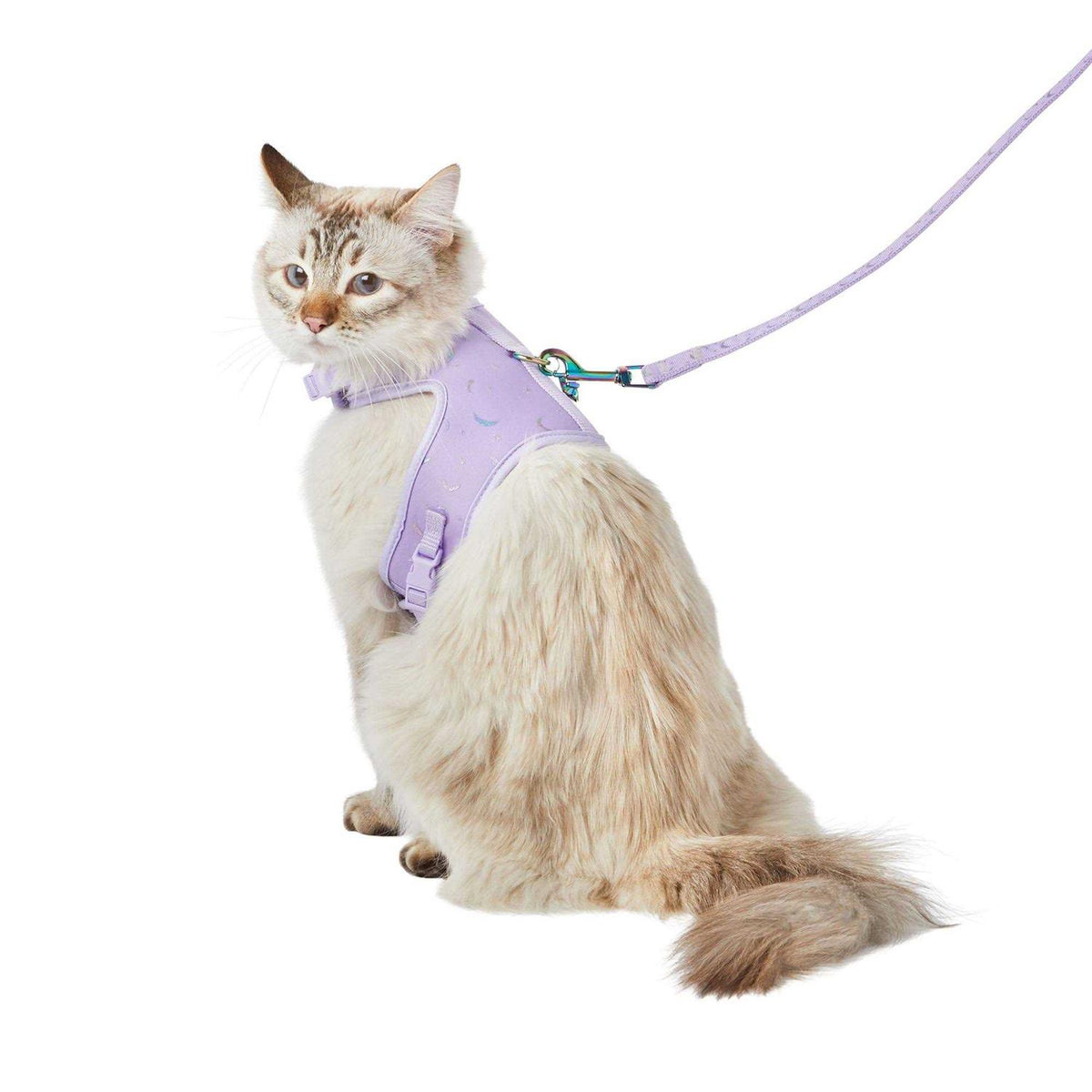 Cat Leash & Harness Combo O502514
