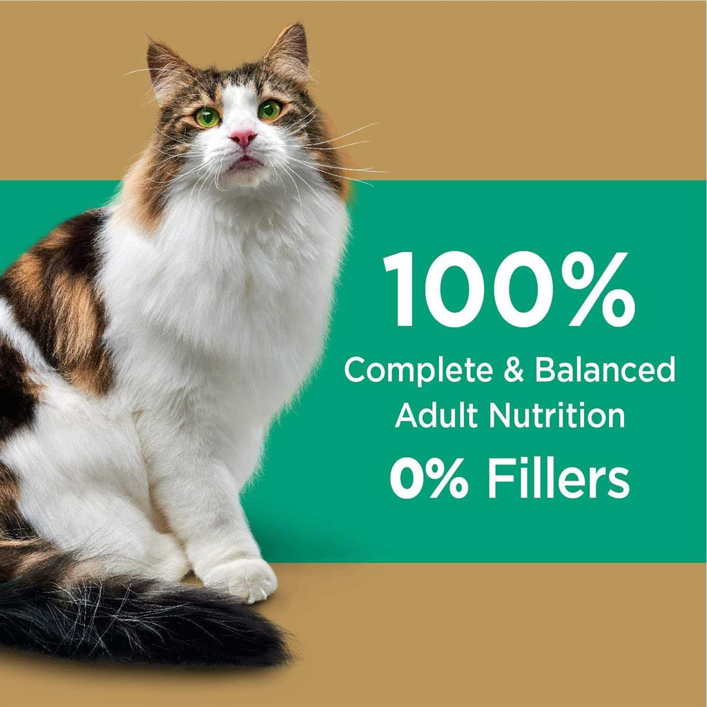 Salmon Adult Dry Cat Food E602