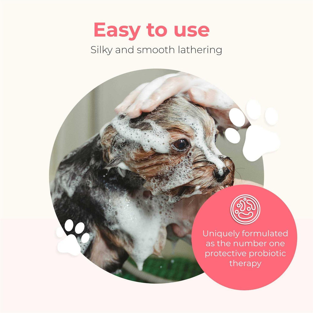 Hypoallergenic Dog Shampoo and Conditioner L1308