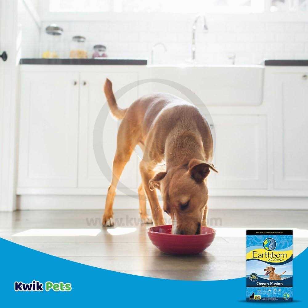 Ocean Fusion Dry Dog Food A97221