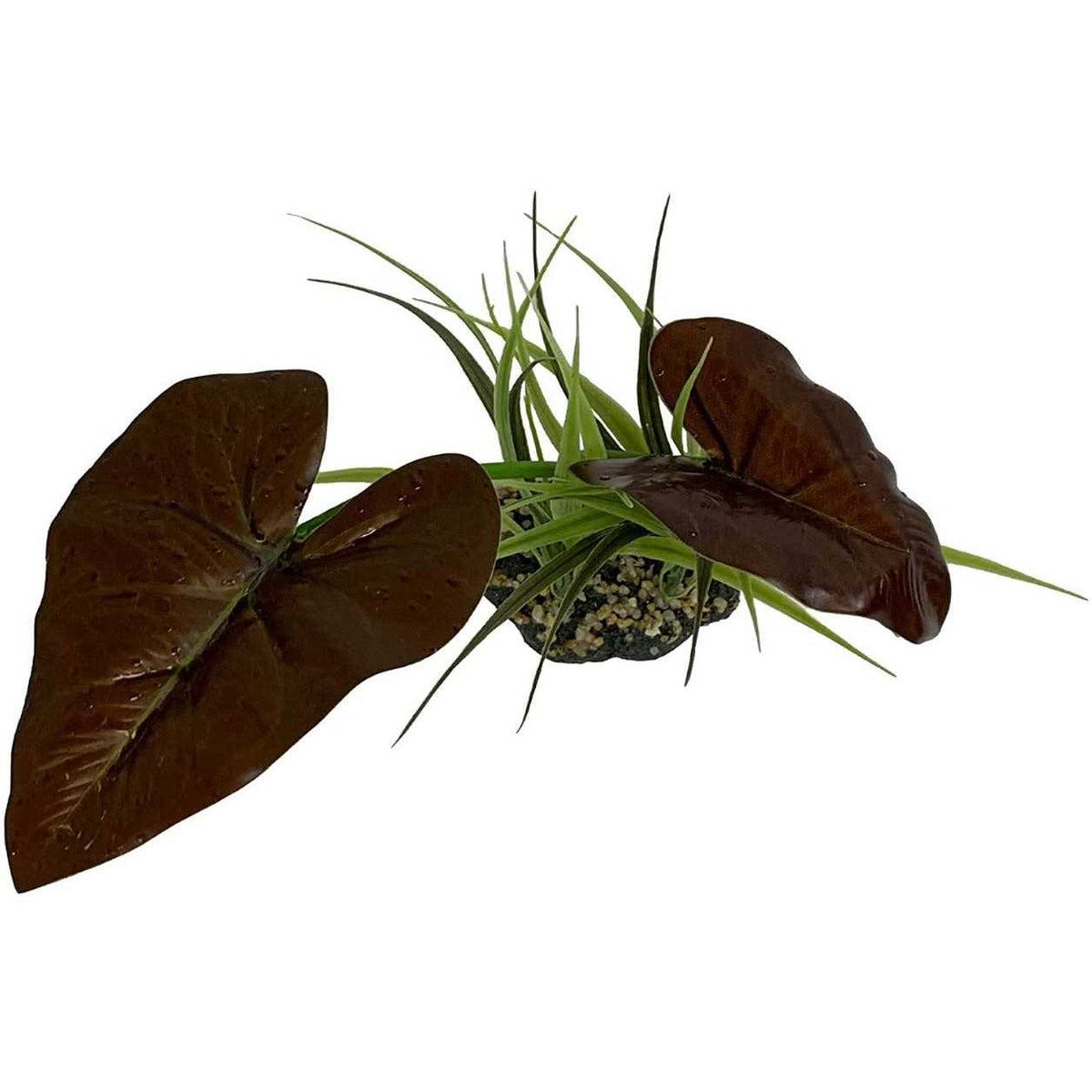 Canopy Plant P6060