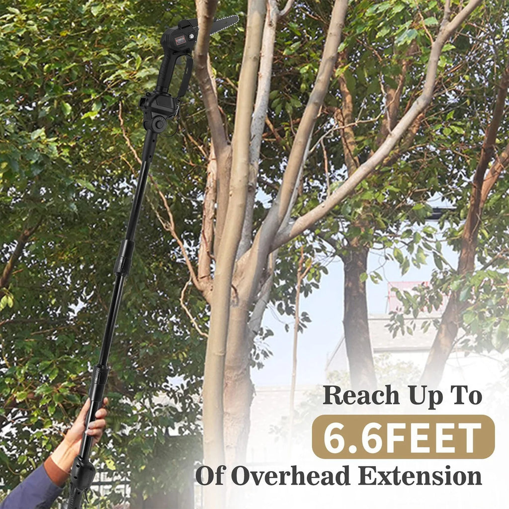 2-in-1 Cordless Pole Saw and Mini Chainsaw with 2 24V Batteries G30111