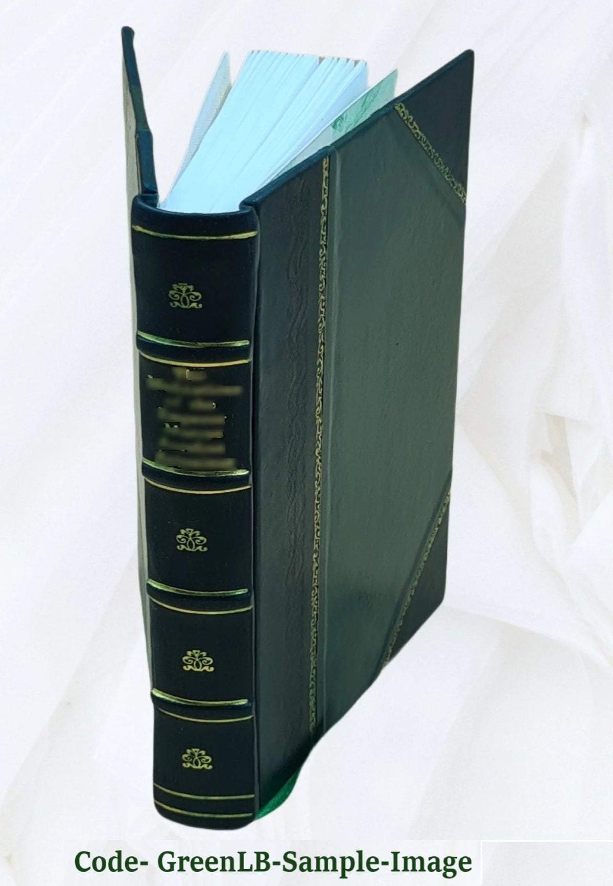Leather Bound Book O73336