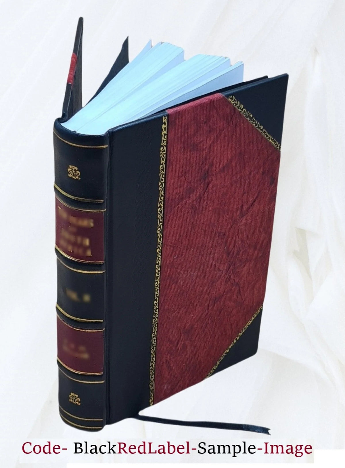 Leather Bound Book O73336